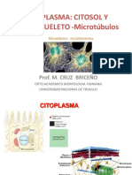 17 Microtubulos.pdf