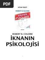 Summ İknanın Psikolojisi-Kitap Özeti