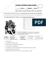 guia sistema circulatorio.doc