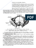 Tratado de Anatomia Humana Quiroz Tomo I - 176