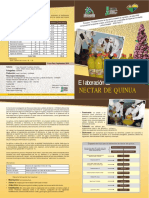 Proyecto__“Fortalecimiento_de_las_oportunidades_de_ing.pdf