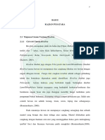 05520022 Bab 2.pdf