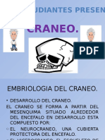 Embriologia Craneo