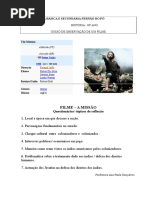 Guiao de Visionamento Do Filme a Missao