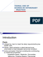 Important Plants With Veterianry Therapeutic Value