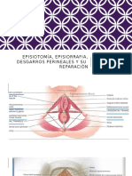 Episiotomía, Episiorrafia, Desgarros Perineales y Su