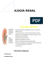 Fisiología Renal