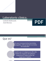 Laboratorio clinico