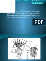 Ekosistem Terumbu Karang