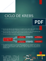 Ciclo de Krebs