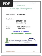 Download CNG Station by shani27 SN33349561 doc pdf
