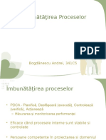 31Imbunatatirea Proceselor - Bogdanescu Andrei_341C5