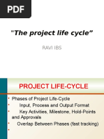 Project Sizes - Small, Medium and Large | PDF | Project Management ...