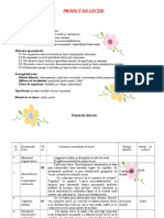 Proiect de Lecție Final