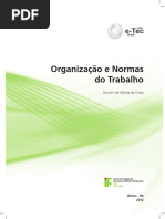 Organizacao e Normas Do Trabalho