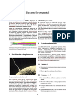 Desarrollo Prenatal