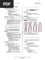 150_Estudo_do_nucleo_-_Resumo(2)