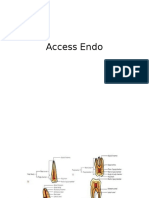 Access Endo