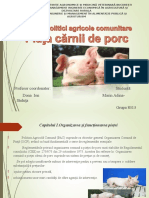 Piata Carnii de Porc Bun