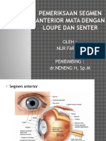 Pemeriksaan Segmen Anterior Mata Dengan Loupe Dan Senter