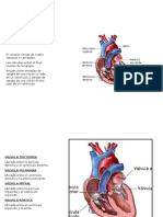 AFECCIONES CARDIACAS VALVULARES