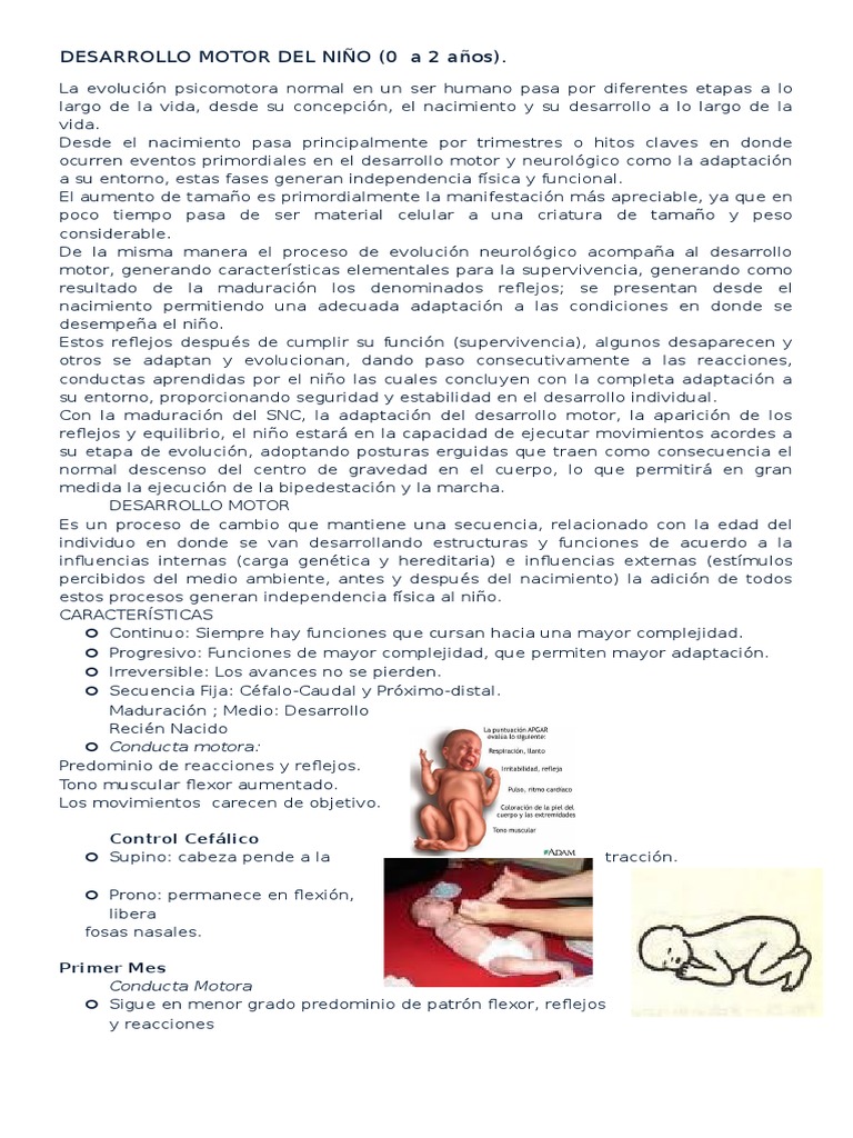 Desarrollo Motor Infantil: 0 a 2 Años | PDF | Pelvis | Evolución
