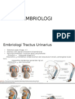 Embriologi Sistem Urinarius