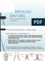 Embriologi Jantung