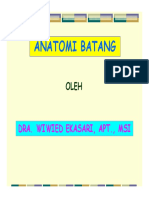 Anatomi Batang PDF