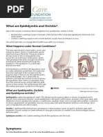 Urology Care Foundation - What are Epididymitis and Orchitis_.pdf