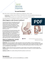 Urology Care Foundation - What are Epididymitis and Orchitis_.pdf