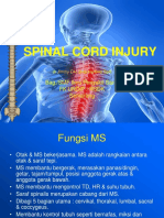 Spinal Cord Injury