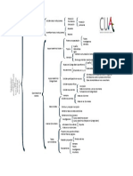 Esquema Infraestructura Organizativa del CUA-UPR Cayey-enero-mayo 2017