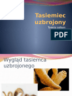 Tasiemiec Uzbrojony