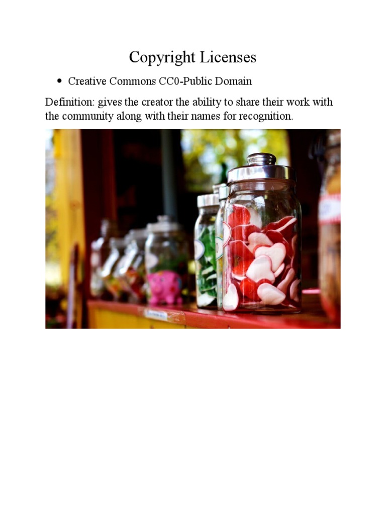 Understanding Copyright Licenses | PDF
