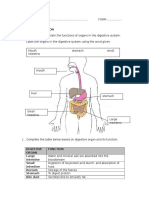Large Intestine: Chapter 2: Nutrition B3D8E1: Label and Explain The Functions of Organs in The Digestive System