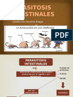 Parasitosis Intestinales Original Giselle