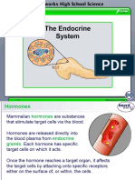 Basic Endocrine.ppt