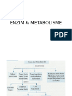 Enzim & Metabolisme Ok (1)