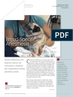 Breed Specific Anesthesia