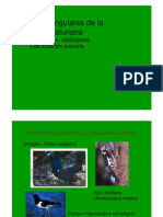 Aves Protegidas PDF