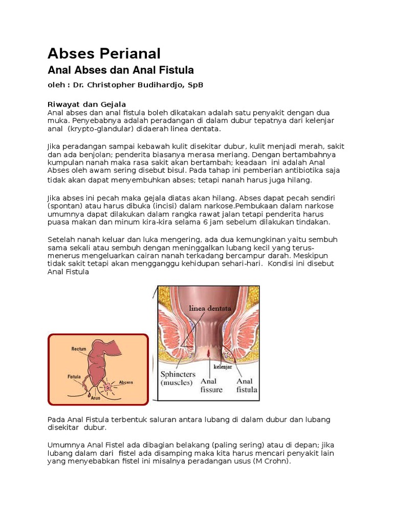 Abses Perianal: Gejala dan Terapi | PDF | Sains & Matematika
