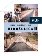 hidraulica de Canales_ Pedro Rodriguez Ruiz.pdf