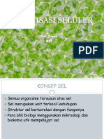 Organisasi Seluler - Struktur Dan Fungsi