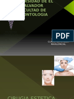 Cirugia Estetica Facial Cuarta Rotacion