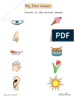 senses-matching (1).pdf