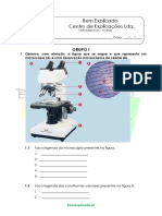 3.-A-célula-unidade-na-constituição-dos-seres-vivos-Teste-Diagnóstico-1.pdf