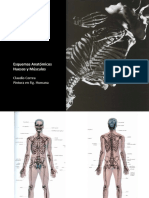 Anatomina.fig.Humana