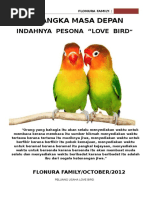 Love Bird