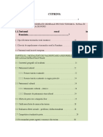 51388512-Licenta-de-pe-internet.doc